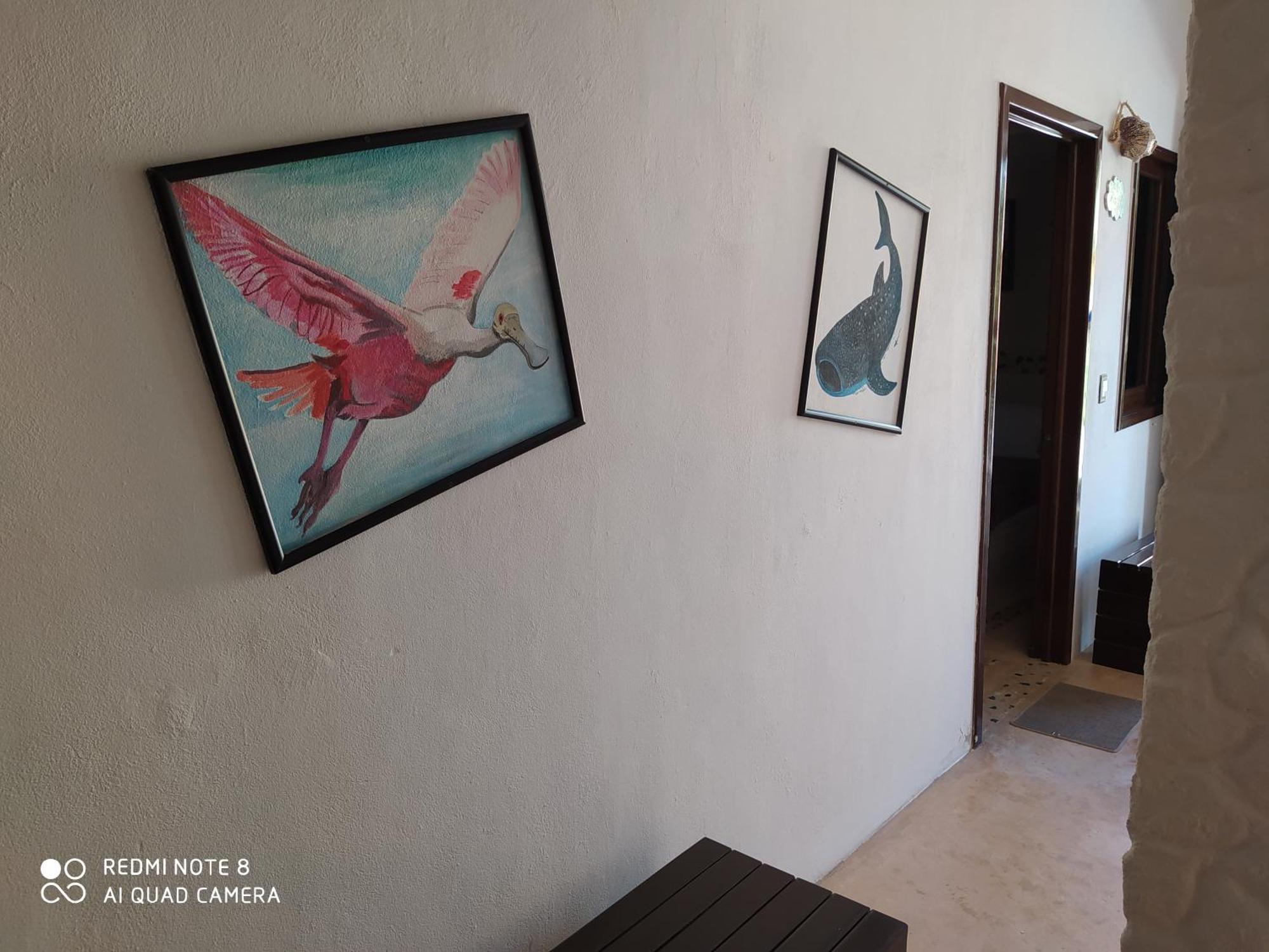 Casa Ohana-Disfruta Del Paraiso Isla Holbox Zimmer foto